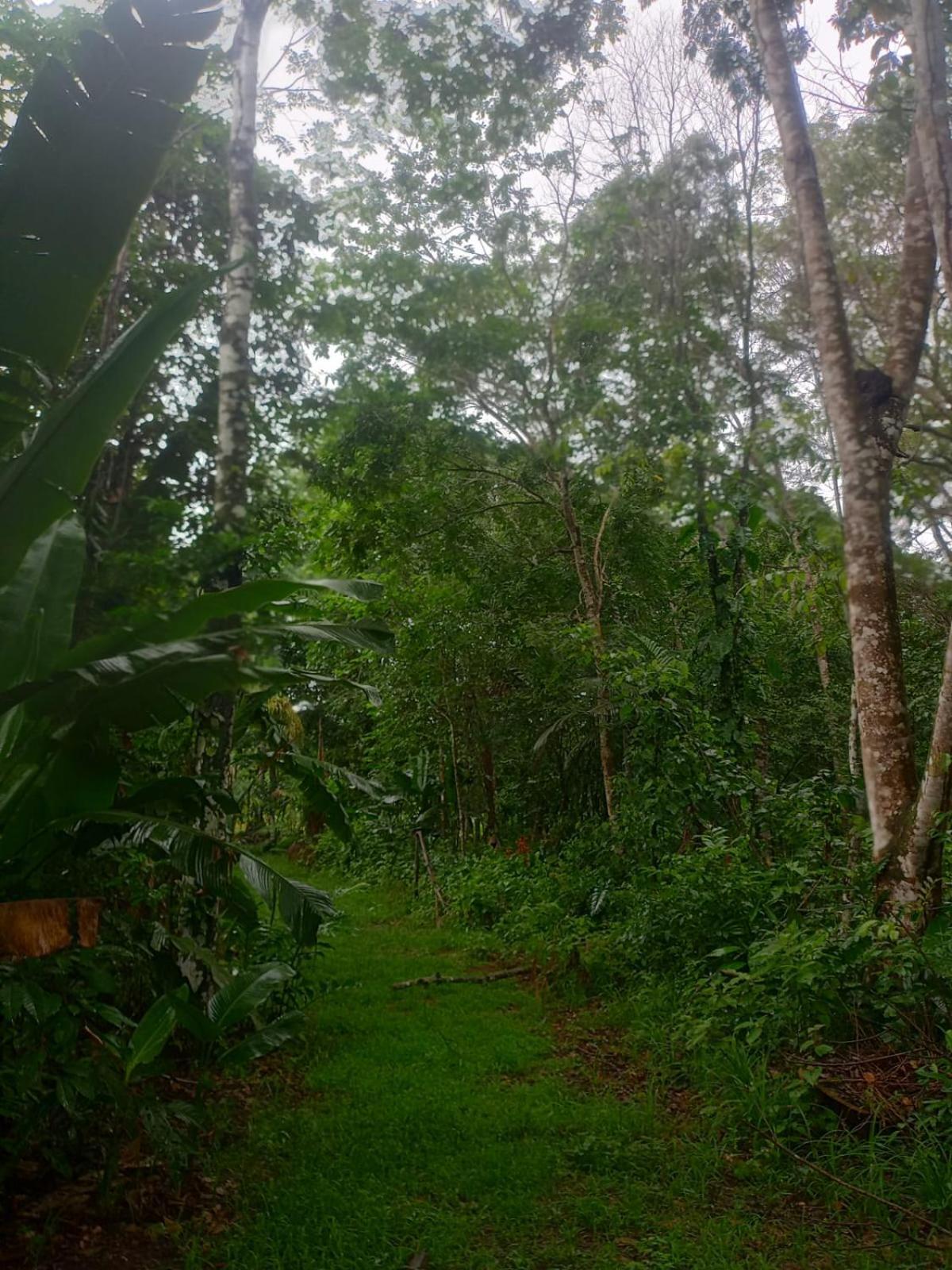 فندق Eco Sitio O Labirinto Do Fauno موسكويرو المظهر الخارجي الصورة