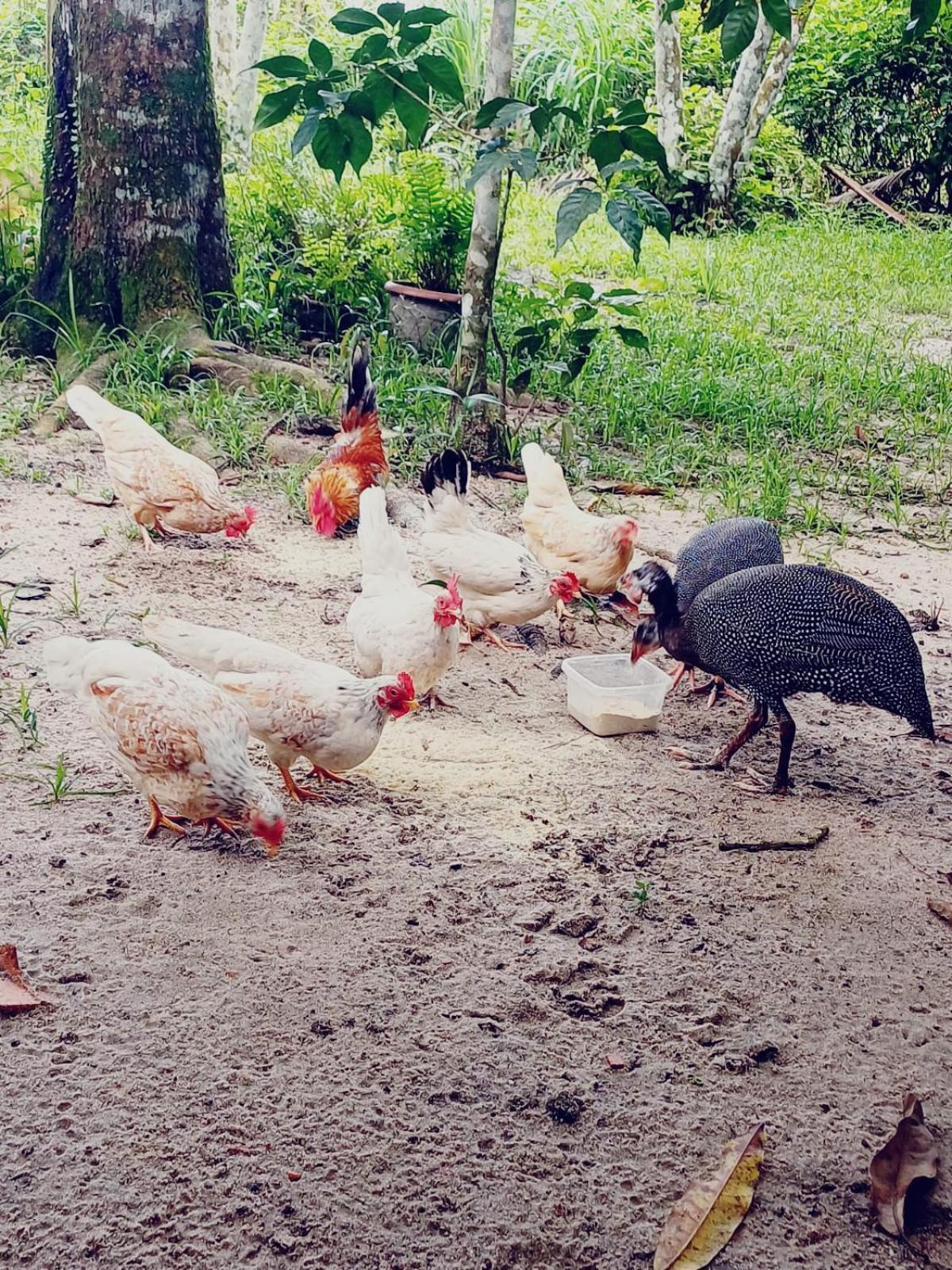 فندق Eco Sitio O Labirinto Do Fauno موسكويرو المظهر الخارجي الصورة