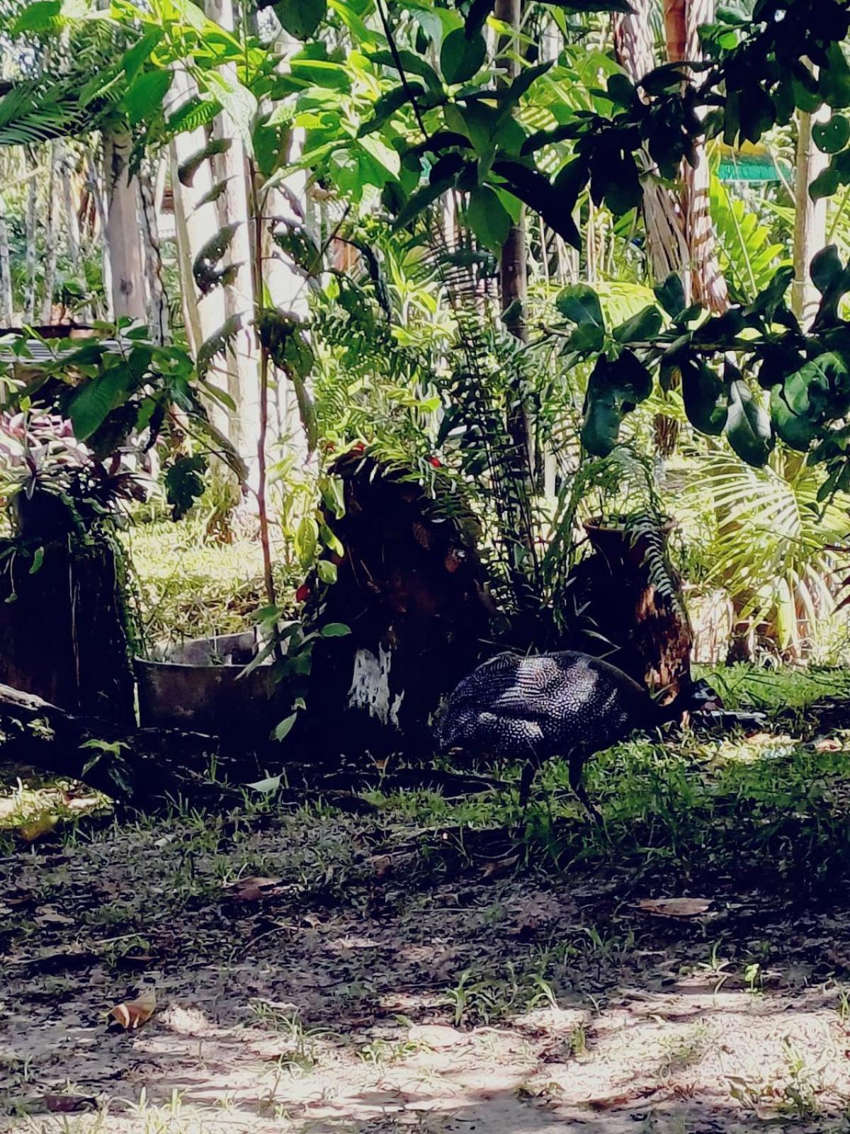 فندق Eco Sitio O Labirinto Do Fauno موسكويرو المظهر الخارجي الصورة