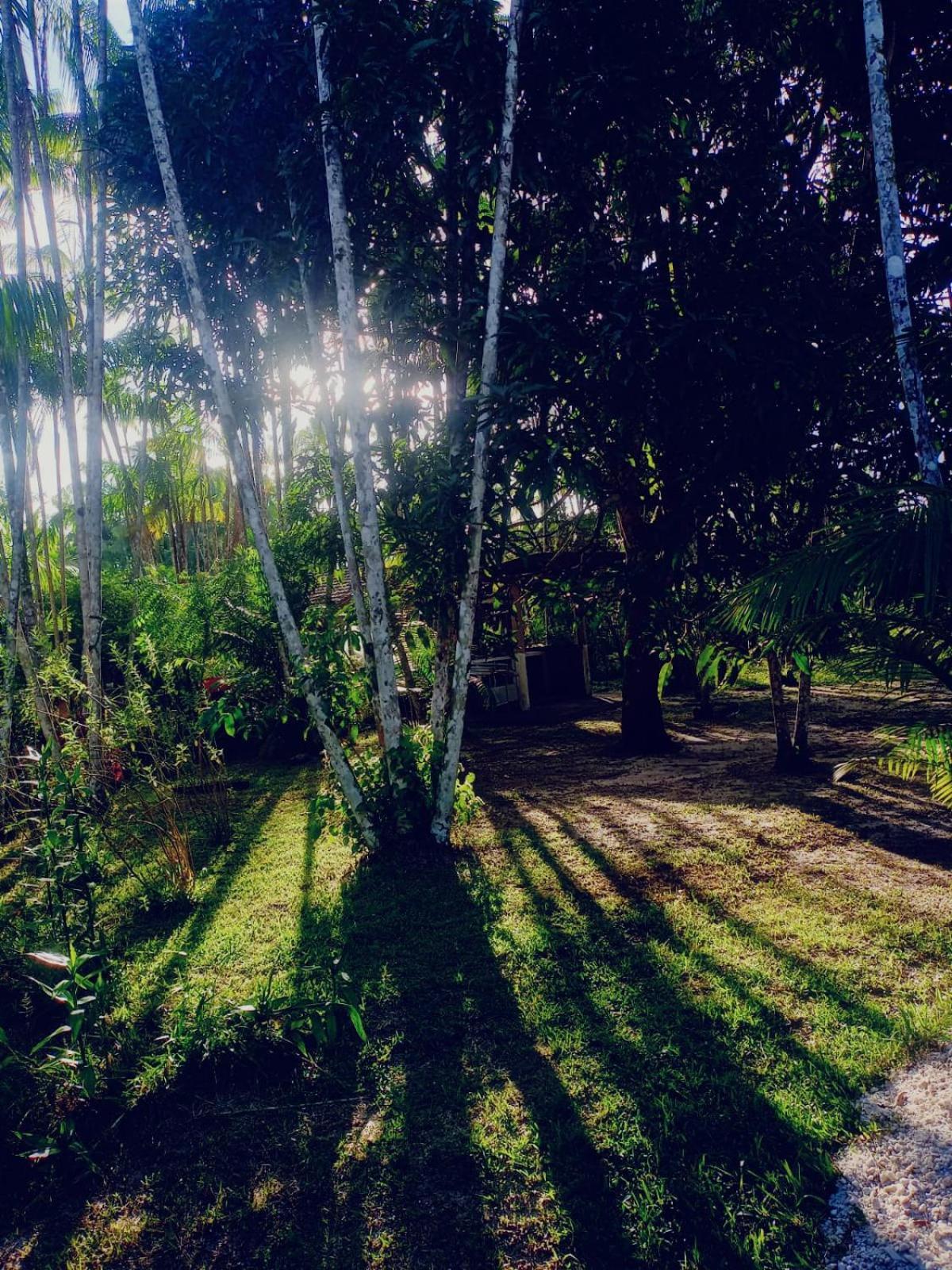 فندق Eco Sitio O Labirinto Do Fauno موسكويرو المظهر الخارجي الصورة